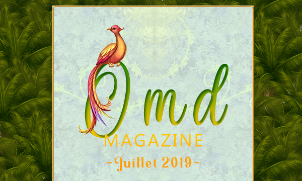 https://blog.feerik.com/wp-content/uploads/2019/08/gazette_juillet.png